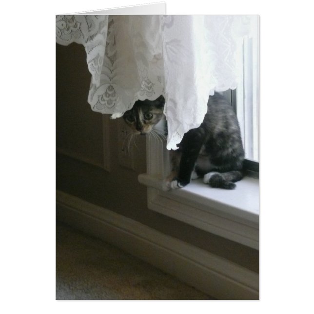 ¡Calico Kitty en la ventana Sill! (Frente)