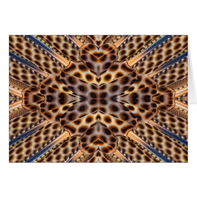 Calidoscopio de plumas de faisán marrón (Anverso (Horizontal))