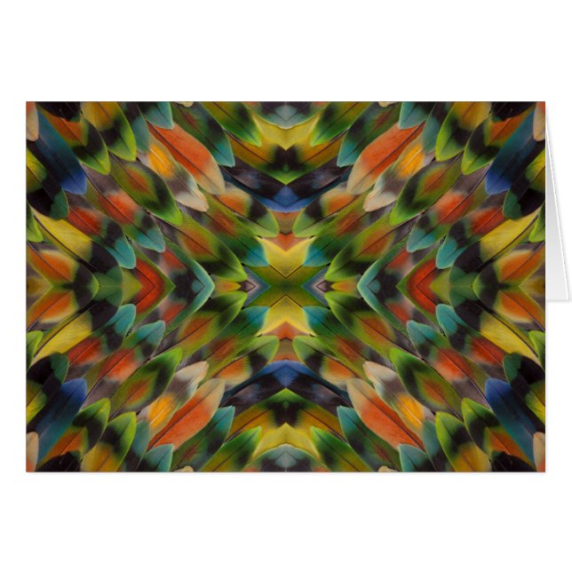 calidoscopio de plumas de inseparables (Anverso (Horizontal))