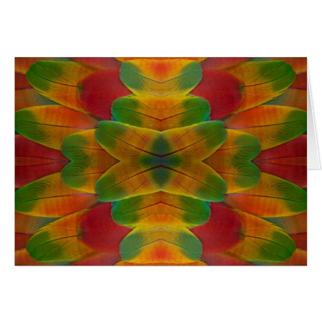 calidoscopio de plumas de loro guacamayo (Anverso (Horizontal))