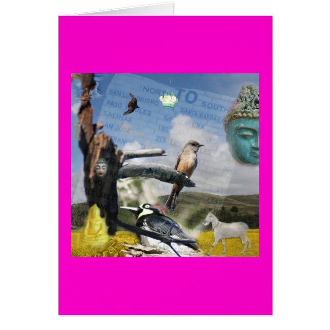 California Buda (Frente)