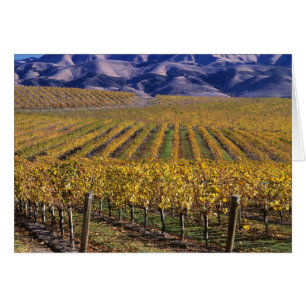 California, Condado de San Luis Obispo, Valle de E