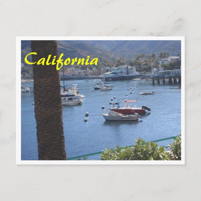 California obtuvo una postal de sushi (Anverso)