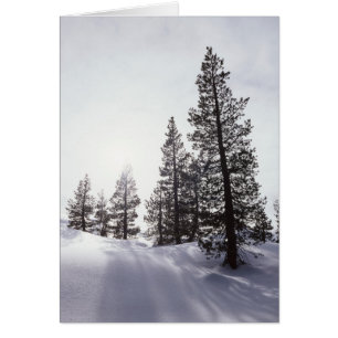 California, Parque Estatal Rancho Cuyamaca