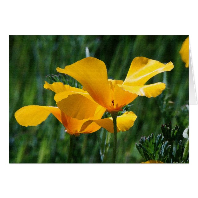 California Poppies Flowers Card (Anverso (Horizontal))