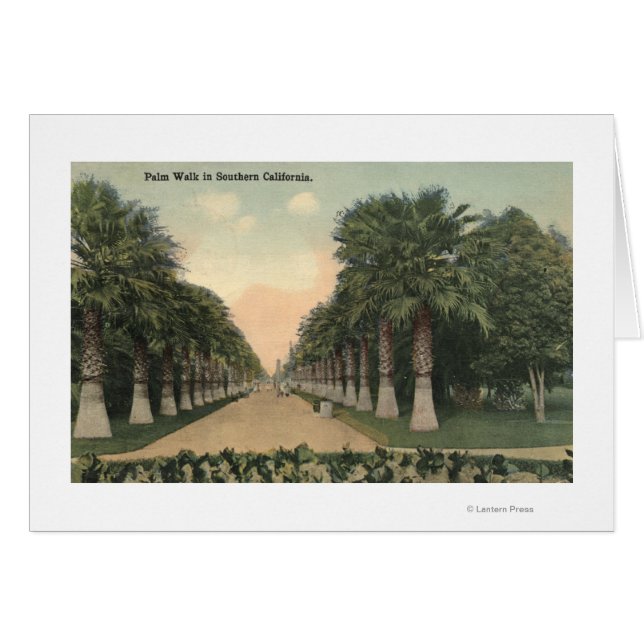 CaliforniaPalms al lado de la carretera (Anverso (Horizontal))