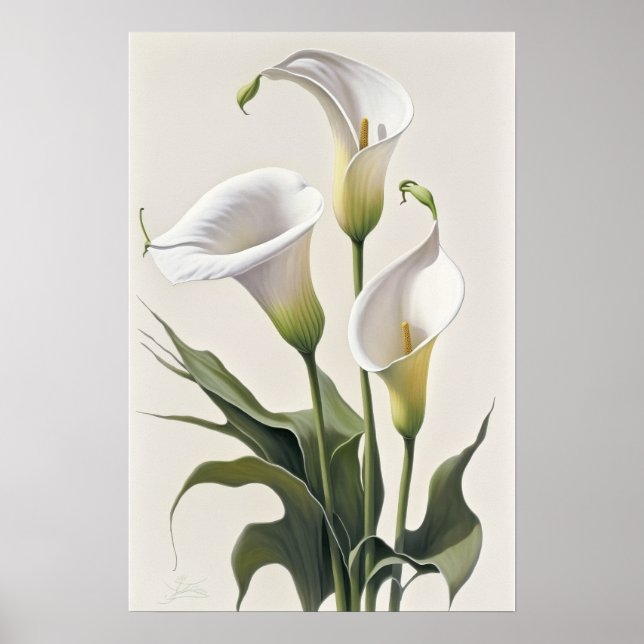 Calla blanca Lilies Lily Flor Poster de impresión (Frente)