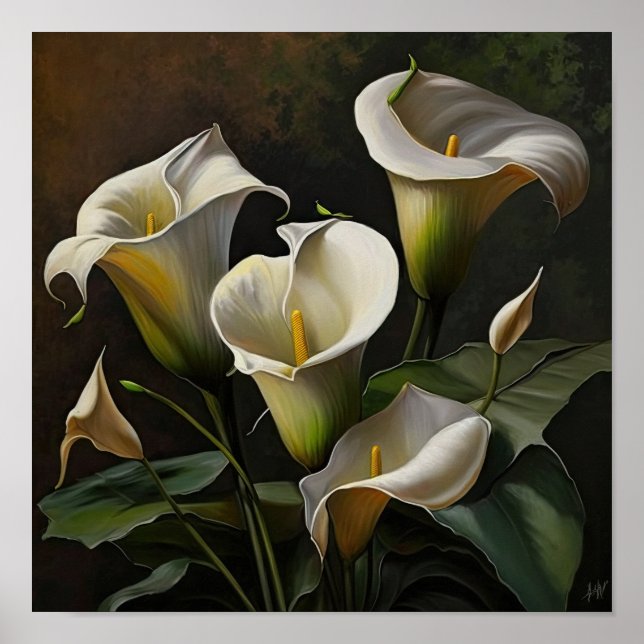 Calla blanca Lilies Lily Flor Poster de impresión (Frente)