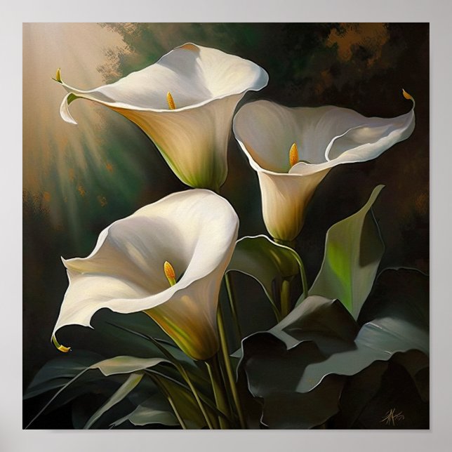 Calla blanca Lilies Lily Flor Poster de impresión (Frente)