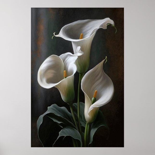 Calla blanca Lilies Lily Flor Poster de impresión (Frente)