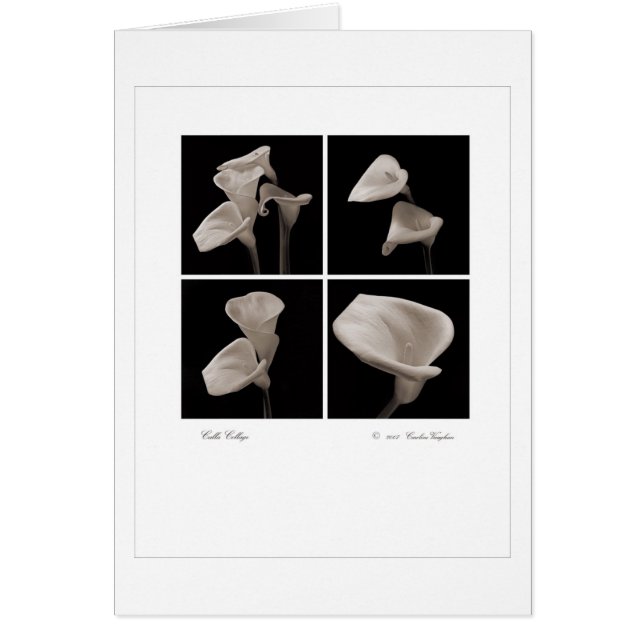 Calla_collage_2007_Brochure (Frente)