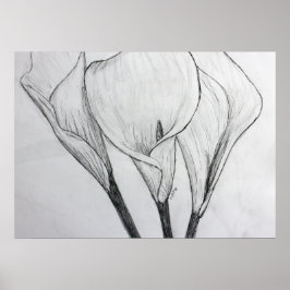 Calla Lilies Dibujo Dibujo Arte Imprimir