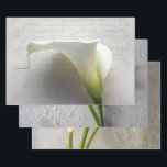 Calla lilies Envoltura Papel conjunto de 3<br><div class="desc">Elegantes lirios blancos de cal para la ducha de novia más bonita o paquetes de regalo de boda</div>