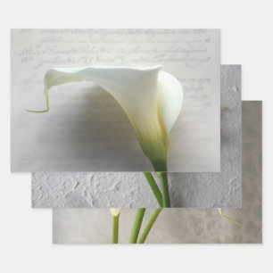 Calla lilies Envoltura Papel conjunto de 3
