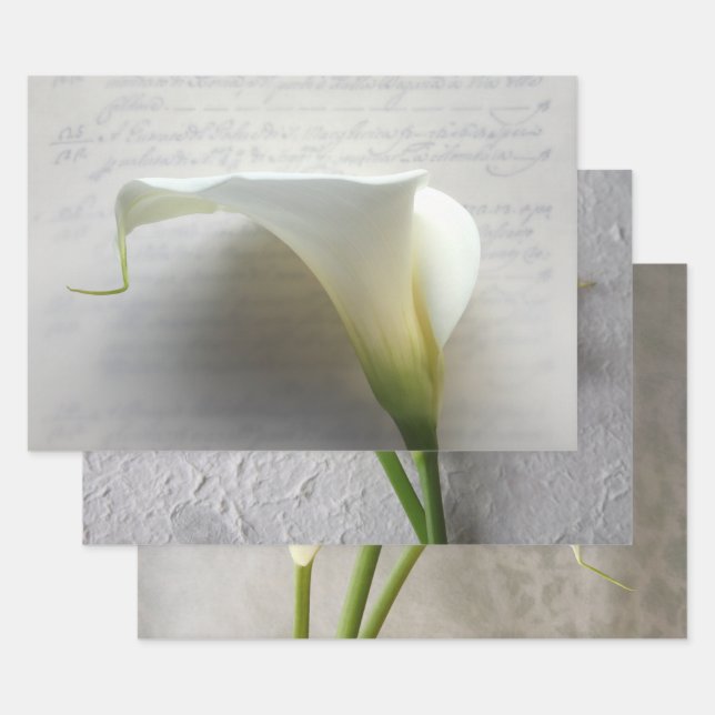 Calla lilies Envoltura Papel conjunto de 3 (Set)