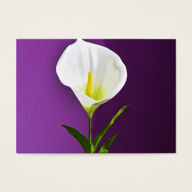 Calla Lilly (Frente)