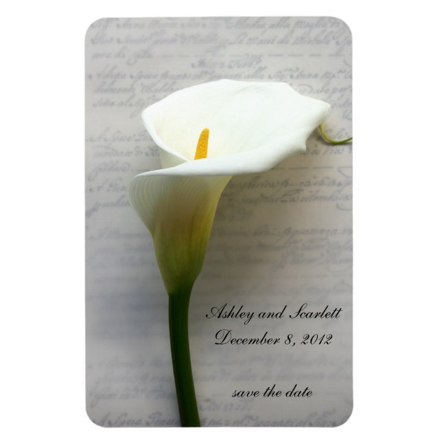 calla lily en imán flexible de escritura a mano (Vertical)