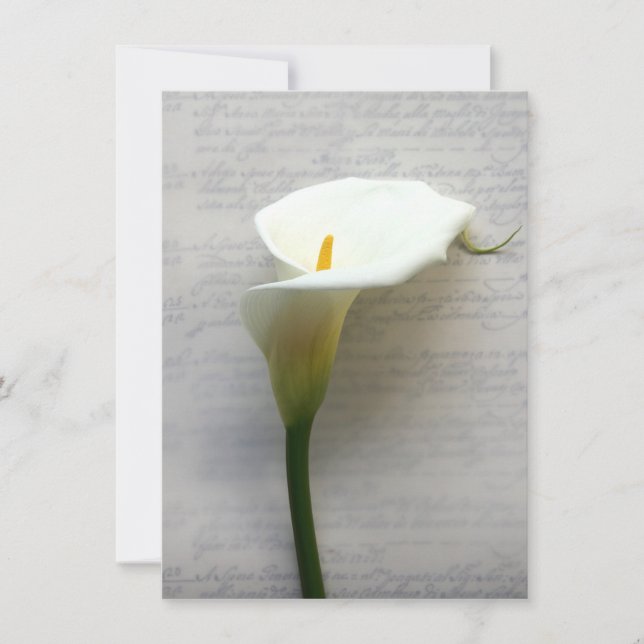 calla lily en una vieja invitación a mano (Anverso)