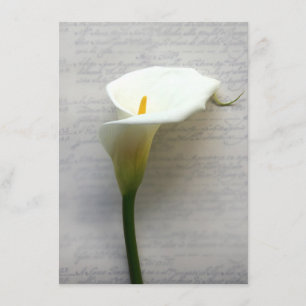 calla lily en una vieja invitación a mano
