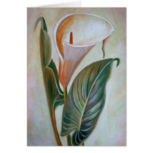 Calla Lily Hermoso Arte Botánico