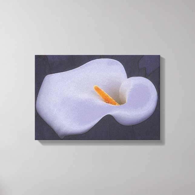 Calla Lily Ilustracion Canvas Wall Decoración (Anverso)