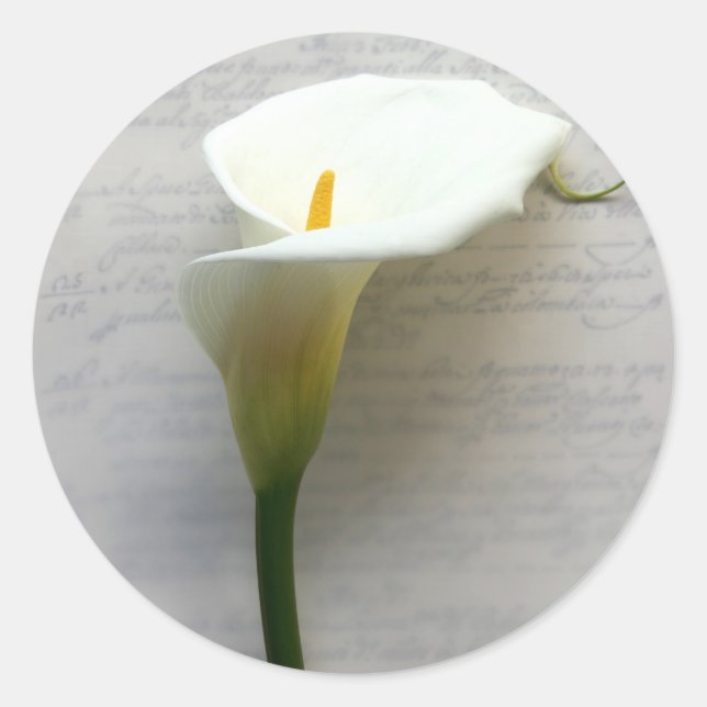 calla lily sobre pegatinas antiguas para la ronda  (Anverso)