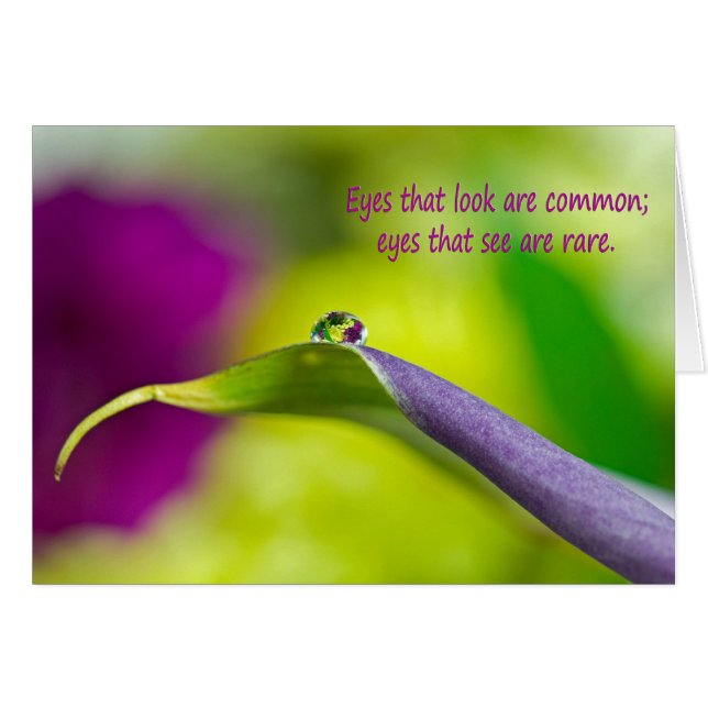 Calla Lily Water Droplet (Anverso (Horizontal))