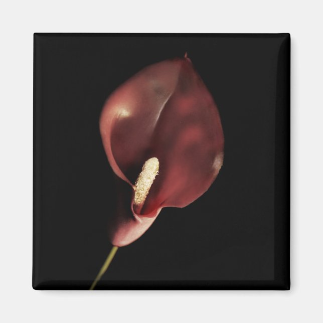 Calla roja - imán (Frente)