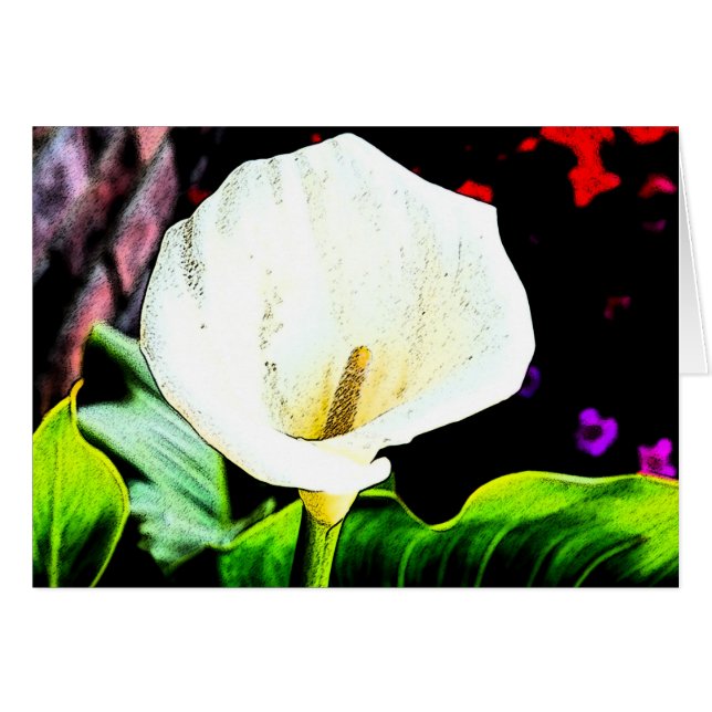 Calla Sideways (Anverso (Horizontal))