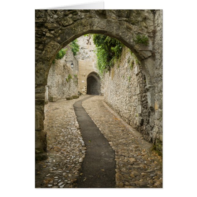 Calle de adoquines grises, Francia (Frente)