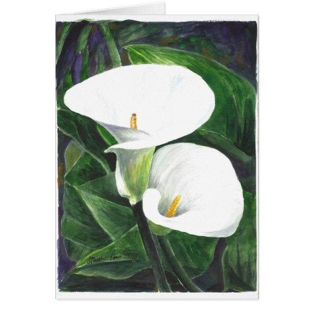 Calle Lilies (Frente)