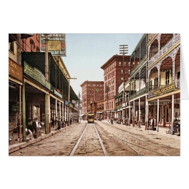 Calle New Orleans 1900 de St Charles (Anverso (Horizontal))