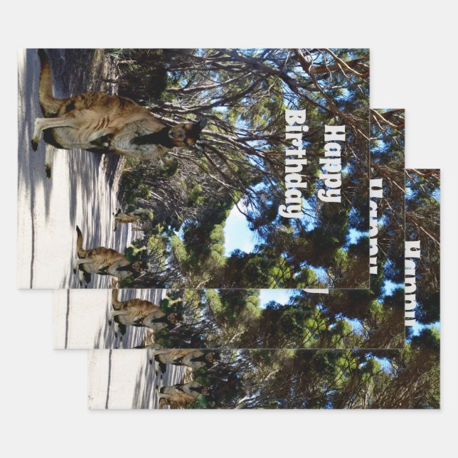 Calle Wallaby australiana, hojas de envolver de re (Set)