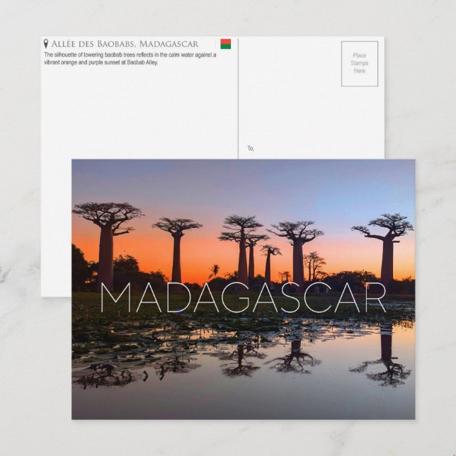 Callejón de Baobabs, Postal de Viaje de Madagascar (Anverso / Reverso)