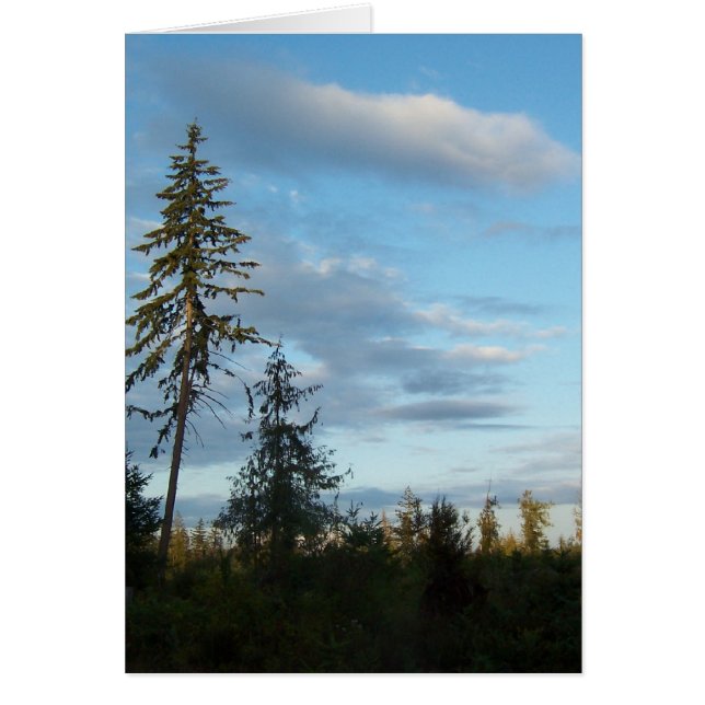 Calm Blue Skies (Frente)