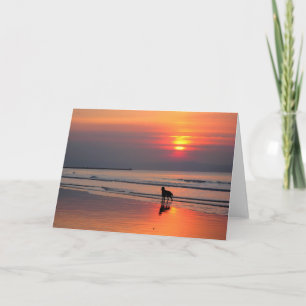 Calm Seas & Sunset - Tarjeta de Felicitación con E