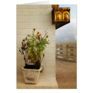 Calma y espacio en Nepal