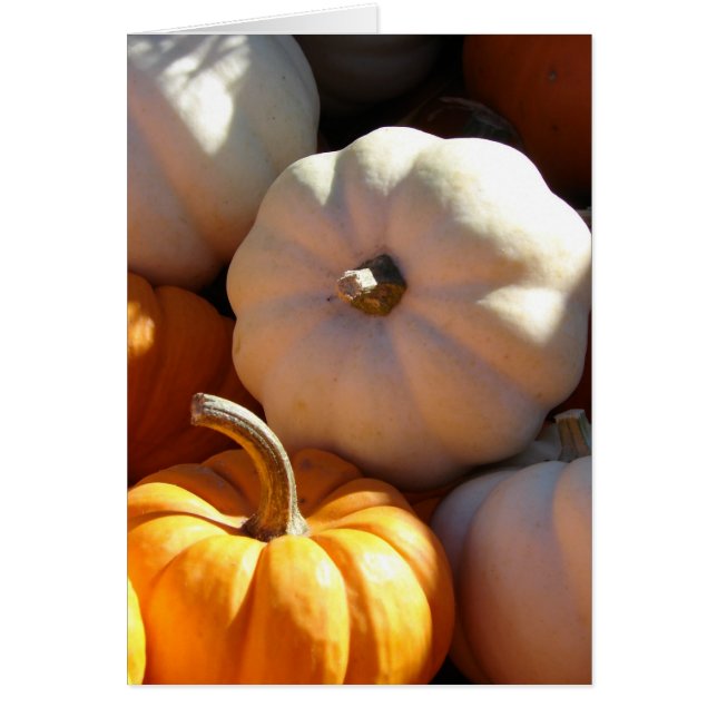 Calzada de calabaza (Frente)