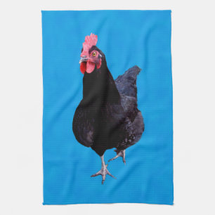 Calzado de pollo azul, toalla de plato