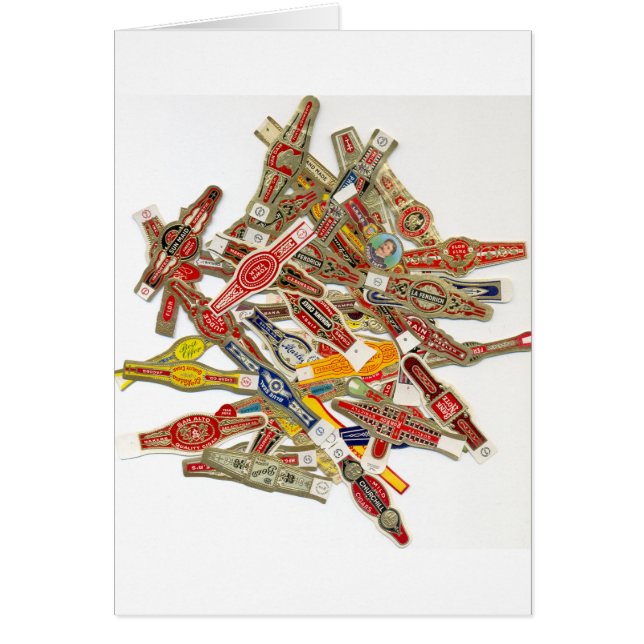 Calzoncillos de anillo de puros (Frente)