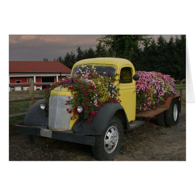 Cama de flores (Anverso (Horizontal))