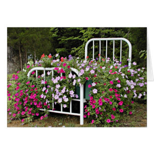 Cama de petunias