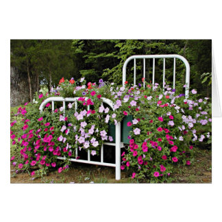 Cama de petunias
