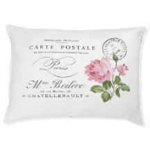 Moda parisina, de inspiración francesa, encantador