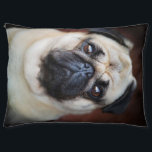 Cama Para Mascotas pug small dog beige puppy Blanket<br><div class="desc">Wall Art Decor: Good idea for home interior walls decor such as living room,  bedroom,  kitchen,  bathroom,  guest room,  office and others,  also be good gift ideas for your friends. Wall art paintings use high quality waterproof sunfast Blanket material</div>