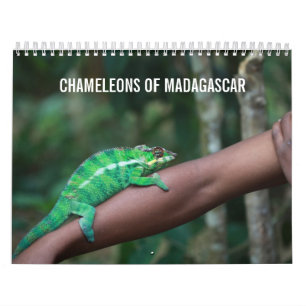 Camaleones del calendario de Madagascar