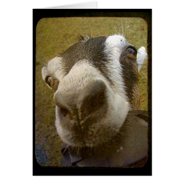 ¡Cámara Yum! (Frente)