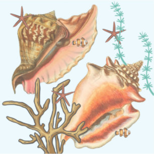 Camas de Starfish, Pegatinas vinílicos