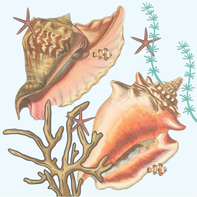 Camas de Starfish, Pegatinas vinílicos (Anverso)