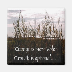 Cambie es imán inevitable